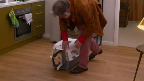 The Circle 2019: Tim Wilson's cat Bey enters the apartment